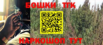 крисы Кандалакша