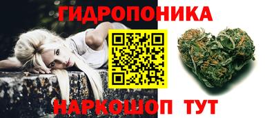 крисы Кандалакша