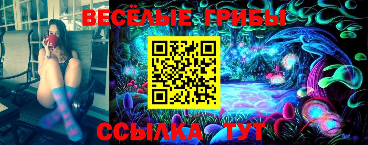 Галлюциногенные грибы Psilocybine cubensis  купить  цена  Джанкой  Вход с VPN 